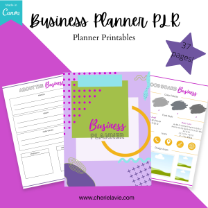 Small Business Planner with PLR