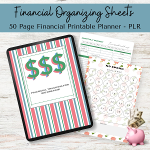 Financial Organizing Sheets - DFY Printable Planner Template